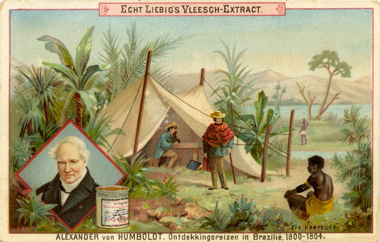 Objevitelská výprava Alexandra von Humboldta, Liebigova karta (tisk) od School Dutch