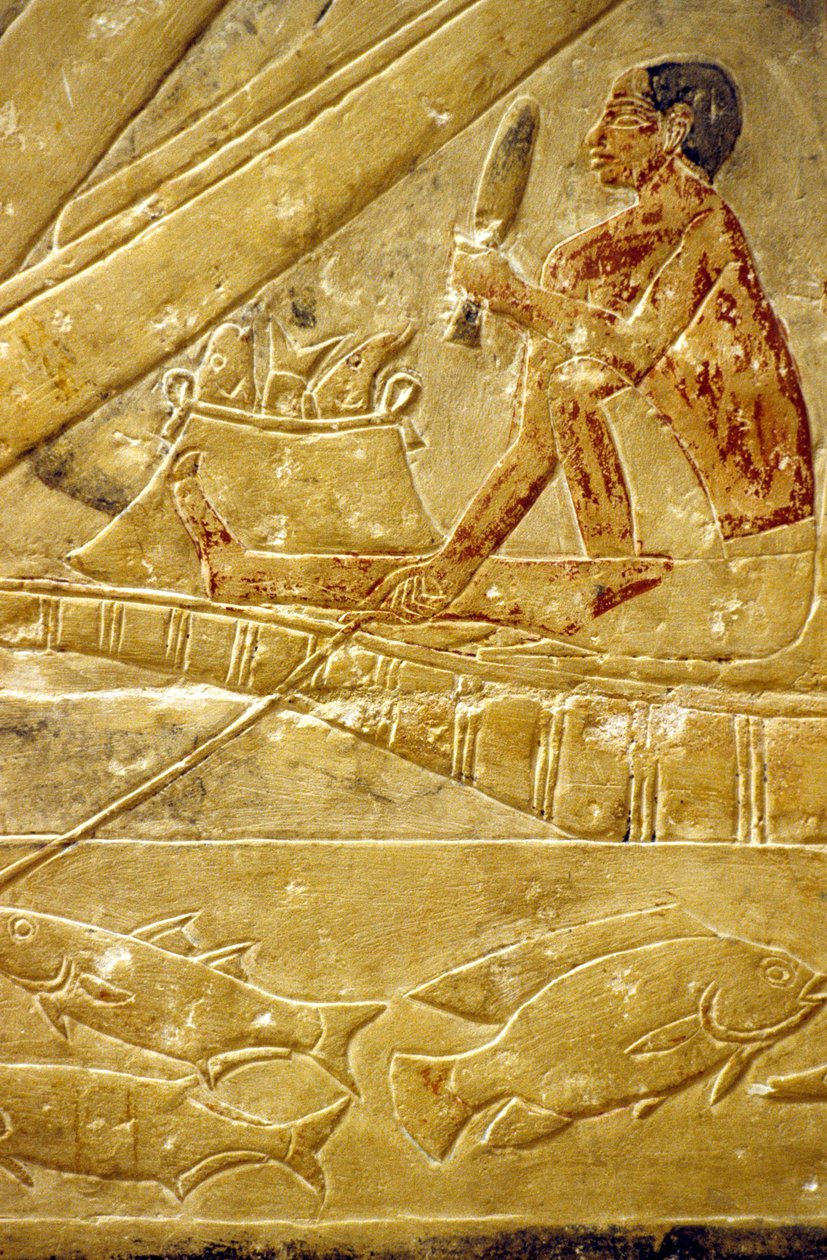 Starověký Egypt, Mastaba/Tomb of Idout, Sakkára, Rybáři sedí na lodích a odlovují ryby (foto) od School Egyptian