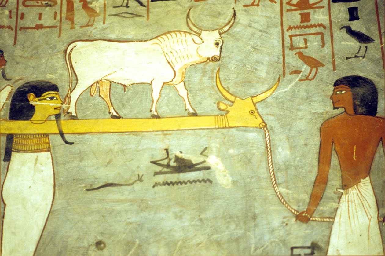 Starověký Egypt, malba, hrobka Ramesse I., bohové podsvětí přivázaní k Hathor, tažení sluneční bárkou od School Egyptian