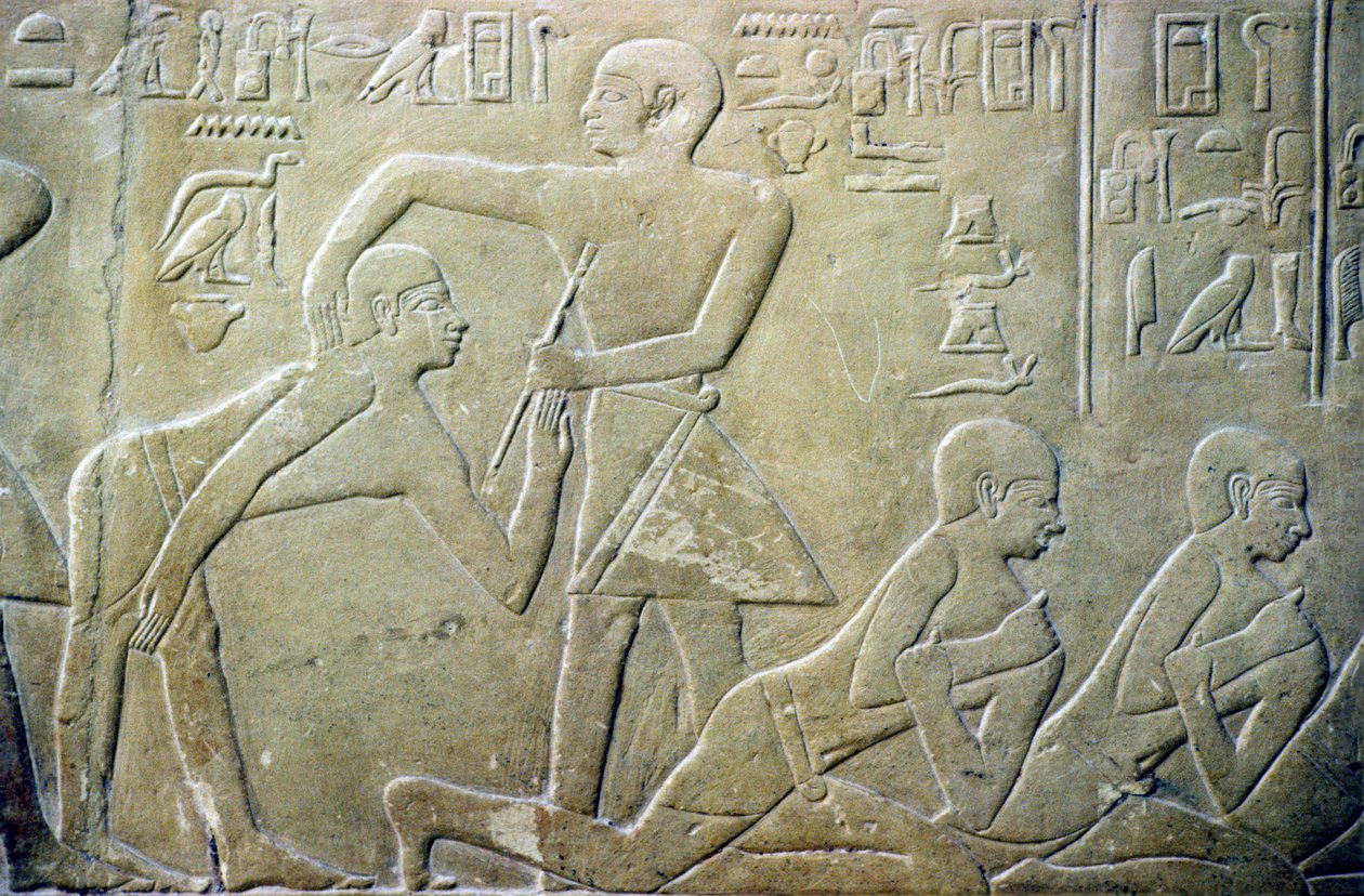 Starověký Egypt, Reliéf, Starší vesnice nuceni přiznat úředníkům chybné daňové přiznání, Merereukina hrobka, 6. dyn (foto) od School Egyptian