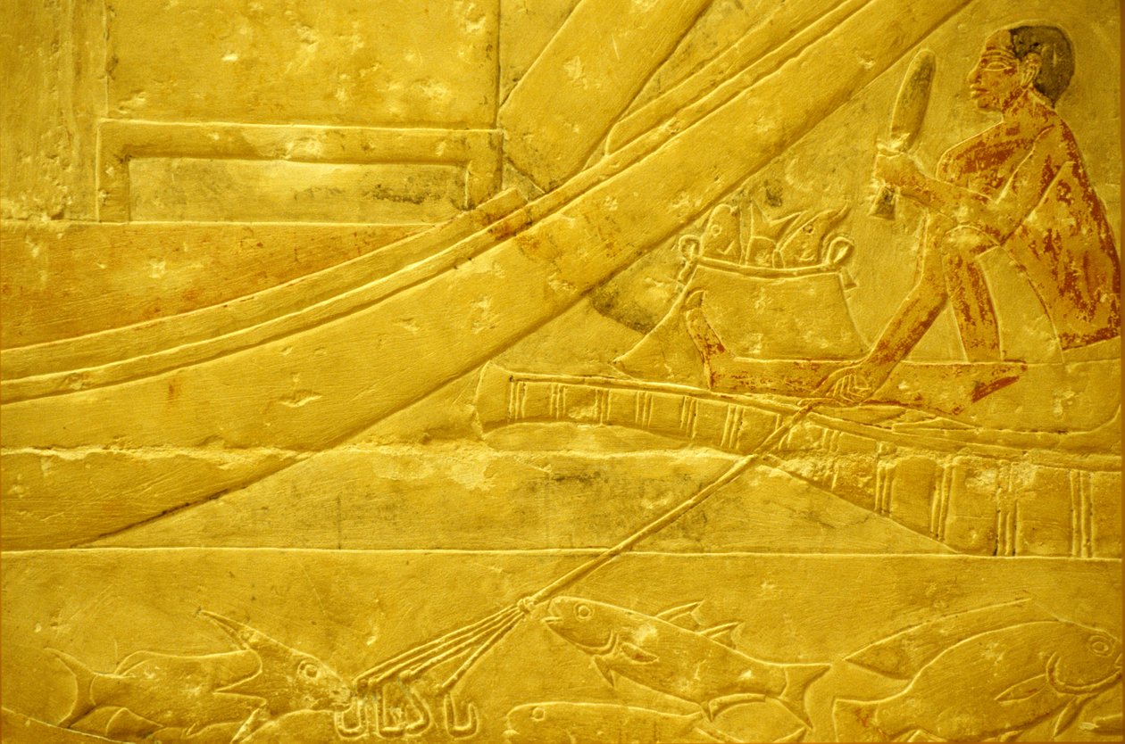 Starověký Egypt, Nástěnná řezba/malba, Mastaba/Tomb of Idout, Sakkára, 2323-2150 př. n. l., Rybář vybírající ryby a držící čtyřhrotý oštěp (foto) od School Egyptian