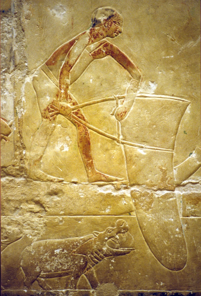 Starověký Egypt, Nástěnné řezby/malby, Mastaba/Tomb of Idout, Sakkára, 6. dynastie, Rybaření s pastí, Hroch (foto) od School Egyptian