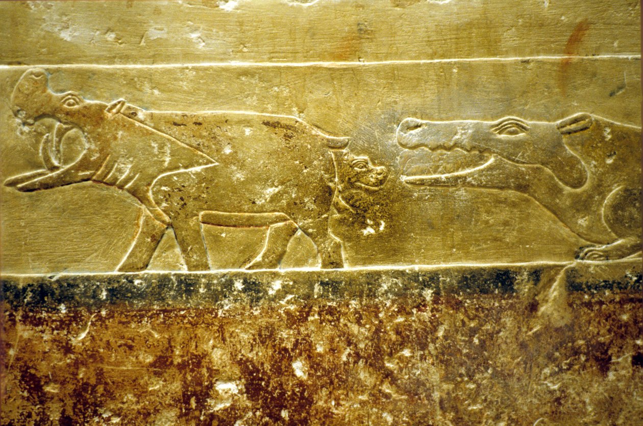 Starověký Egypt, Nástěnná malba, Mastaba/Tomb of Idout, Sakkára, 6. dynastie Hroch rodí a stává se obětí čekajícího krokodýla (foto) od School Egyptian