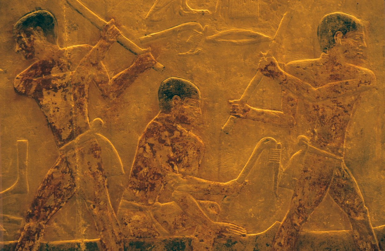 Starověký Egypt, Řezbářství/malířství, Mastaba/Tomb of Ti, Sakkára, 5. dynastie, Stavba lodí (foto) od School Egyptian