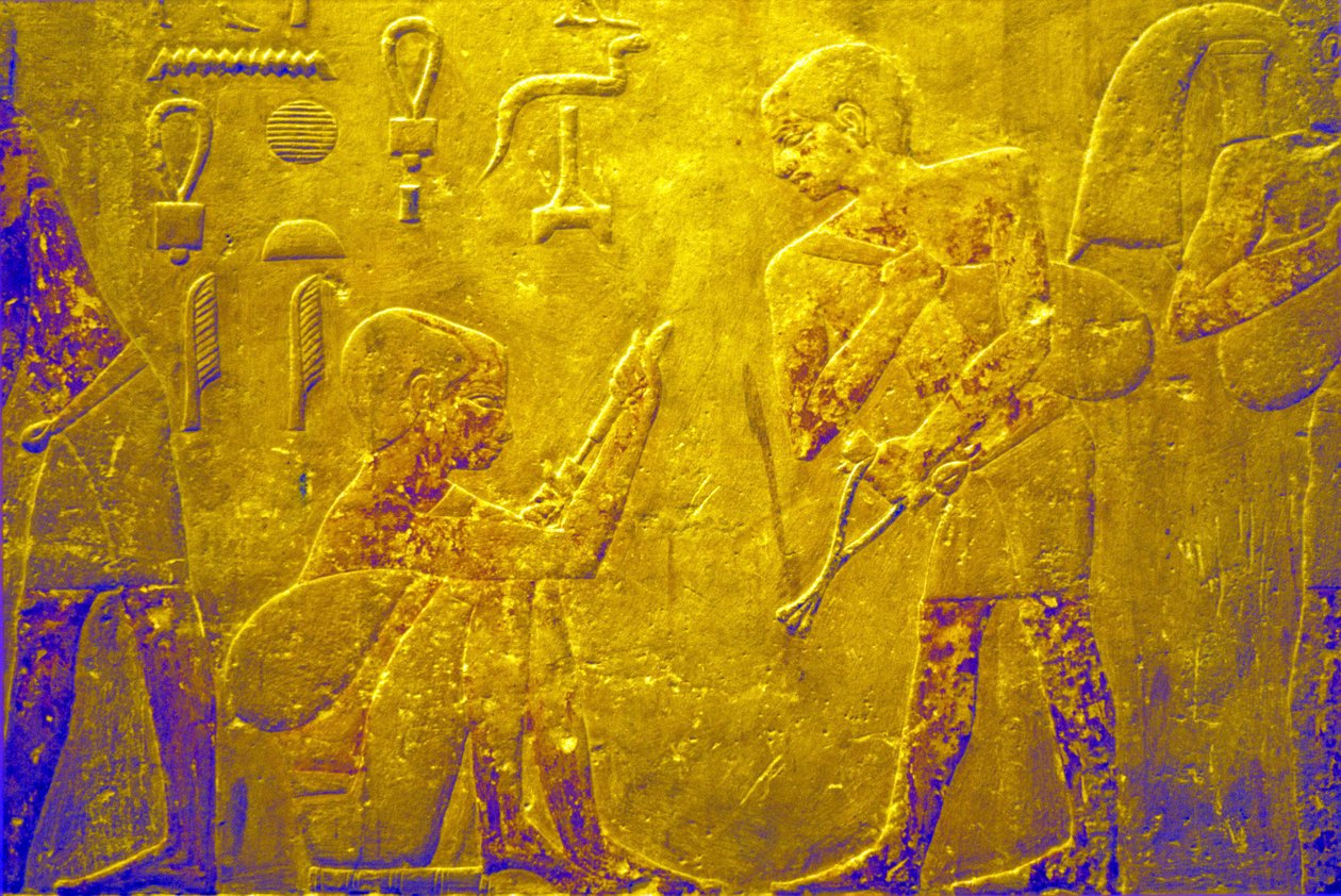 Starověký Egypt, Nástěnné řezby/malby, Mastaba/Tomb of Ti, Sakkára, 5. dynastie, Obchodování se zbožím na trhu (foto) od School Egyptian
