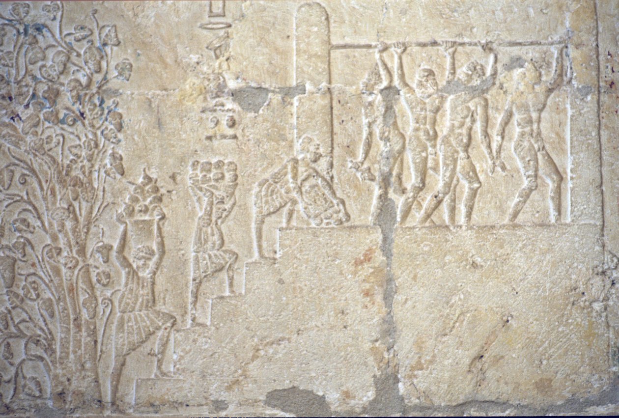 Starověký Egypt, Nástěnné řezby/malby, Petosirisova hrobka, Tuna el Gebel, 300 př. n. l., Sklizeň vína, Výroba vína, Lis na víno (foto) od School Egyptian