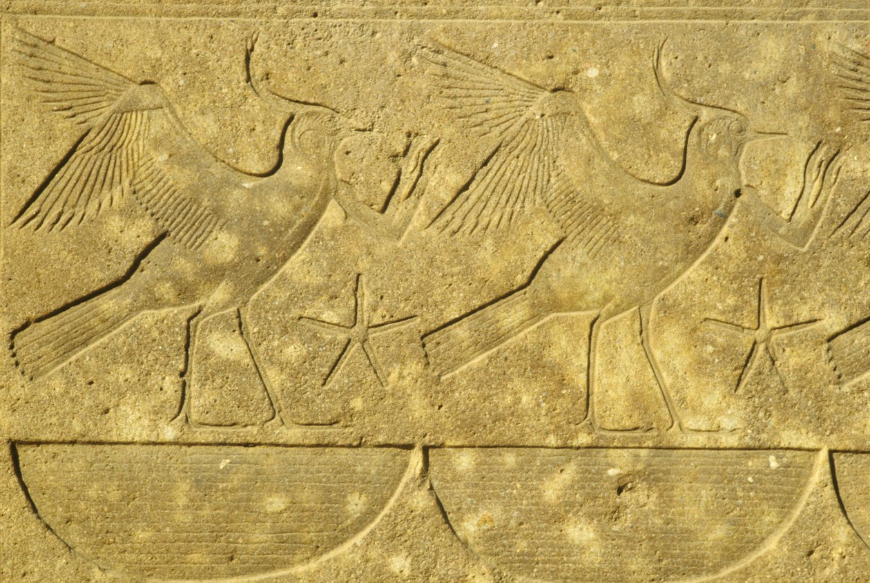 Starověký Egypt, Nástěnná malba/řezba, Laponci, představující různé egyptské kmeny, Chrám v Karnaku, Luxor (foto) od School Egyptian