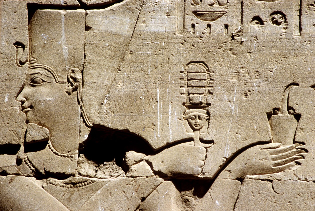 Starověký Egypt, Nástěnná malba/řezba, Faraon Ptolemaios potřásá systrou a nabízí kadidlo, Hořův chrám, Edfu (foto) od School Egyptian