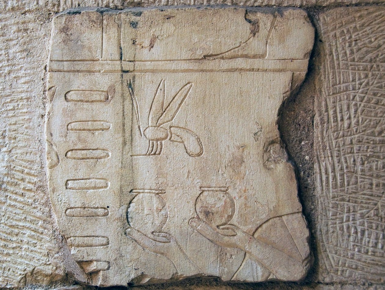 Detail reliéfu, Luxor (kámen) od School Egyptian