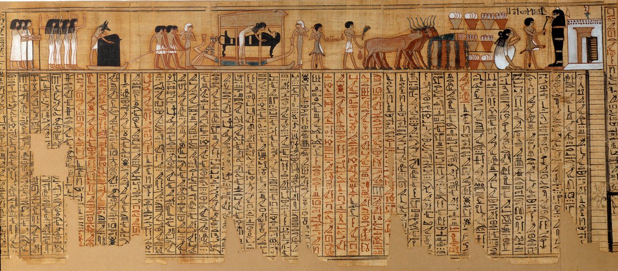 Egyptský starověk: Kniha mrtvých, Papyrus z Nebqedu. Kolem 1400-1350 př.n.l. 18. dynastie. Z Théb. Sun 6,3 m Paříž, Musee du Louvre od School Egyptian