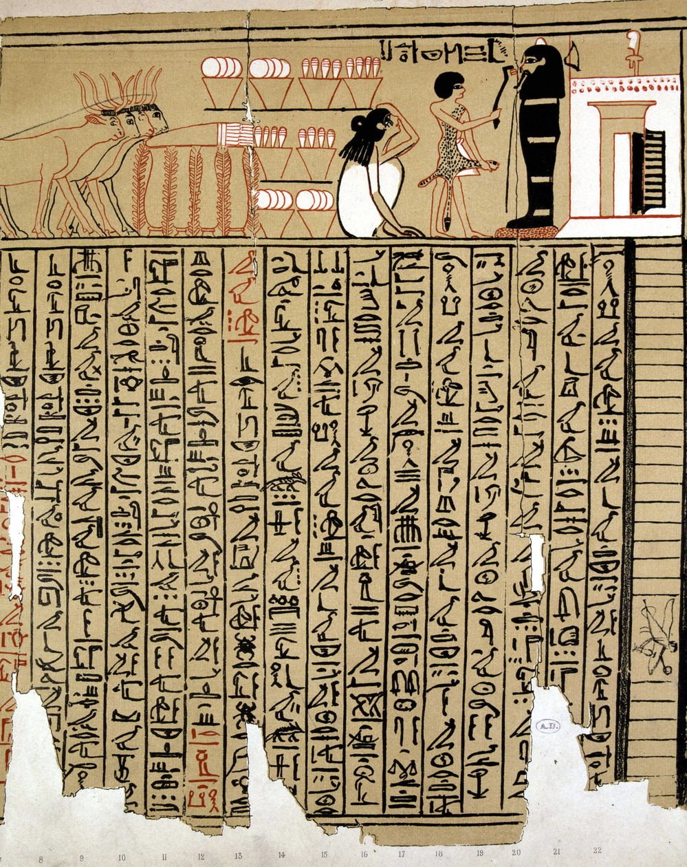 Egyptské hieroglyfy od School Egyptian