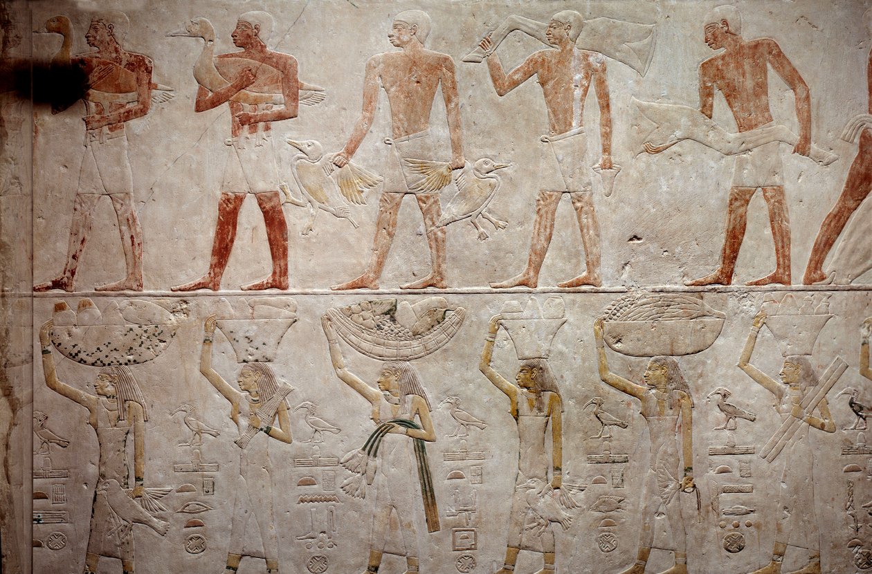 Egyptský starověk: muži nesoucí kachny. Vápencový reliéf z kaple Mastaba of Akhethetep v Sakkáře. 5. dynastie (kolem 2500-2350 př. Kr.) 2300 př. Kr. Paříž, muzeum Louvre od School Egyptian