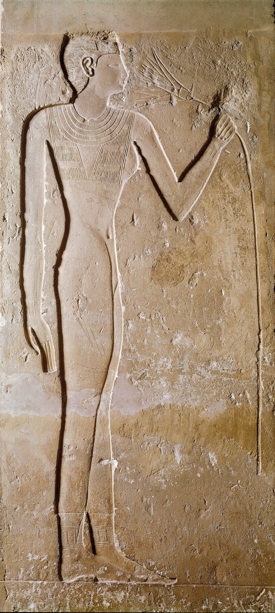 Egyptský starověk: mladá žena má lotosový květ. Vápenec. 5. dynastie, 2300 př. Kr. Ztlumit. 145 cm Paříž, Musee du Louvre od School Egyptian