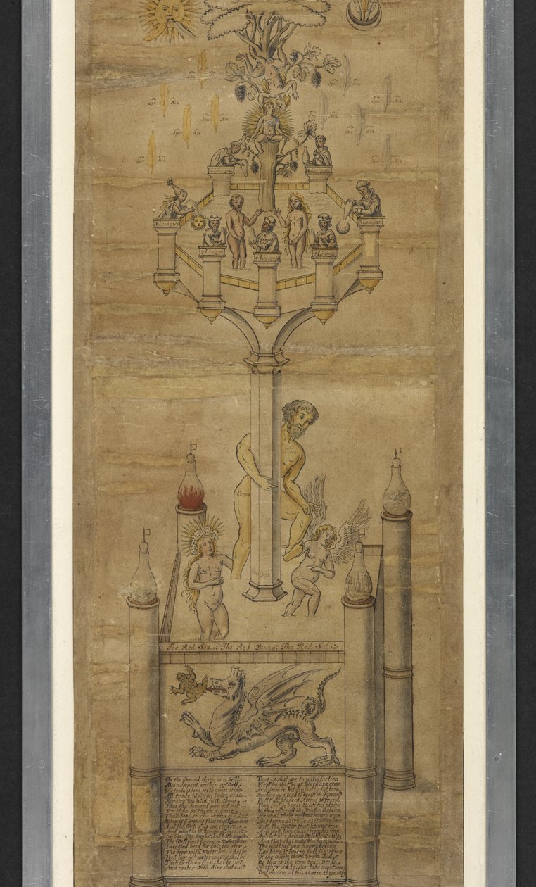 Přidejte alchymistické role MS 5025 (The Ripley Scrolls) (inkoust a barva na papíře) od School English