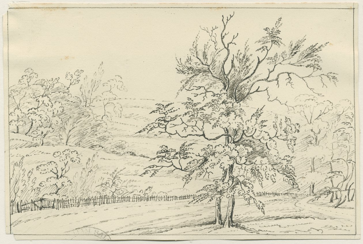 Cannock Chase: kresba perem a tužkou, nd [?19. století] (kresba) od School English