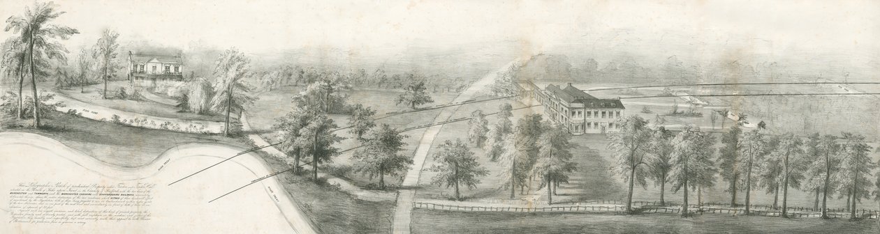 Fenton Hall a Whieldon Grove: litografie a [?19. století] (tisk) od School English