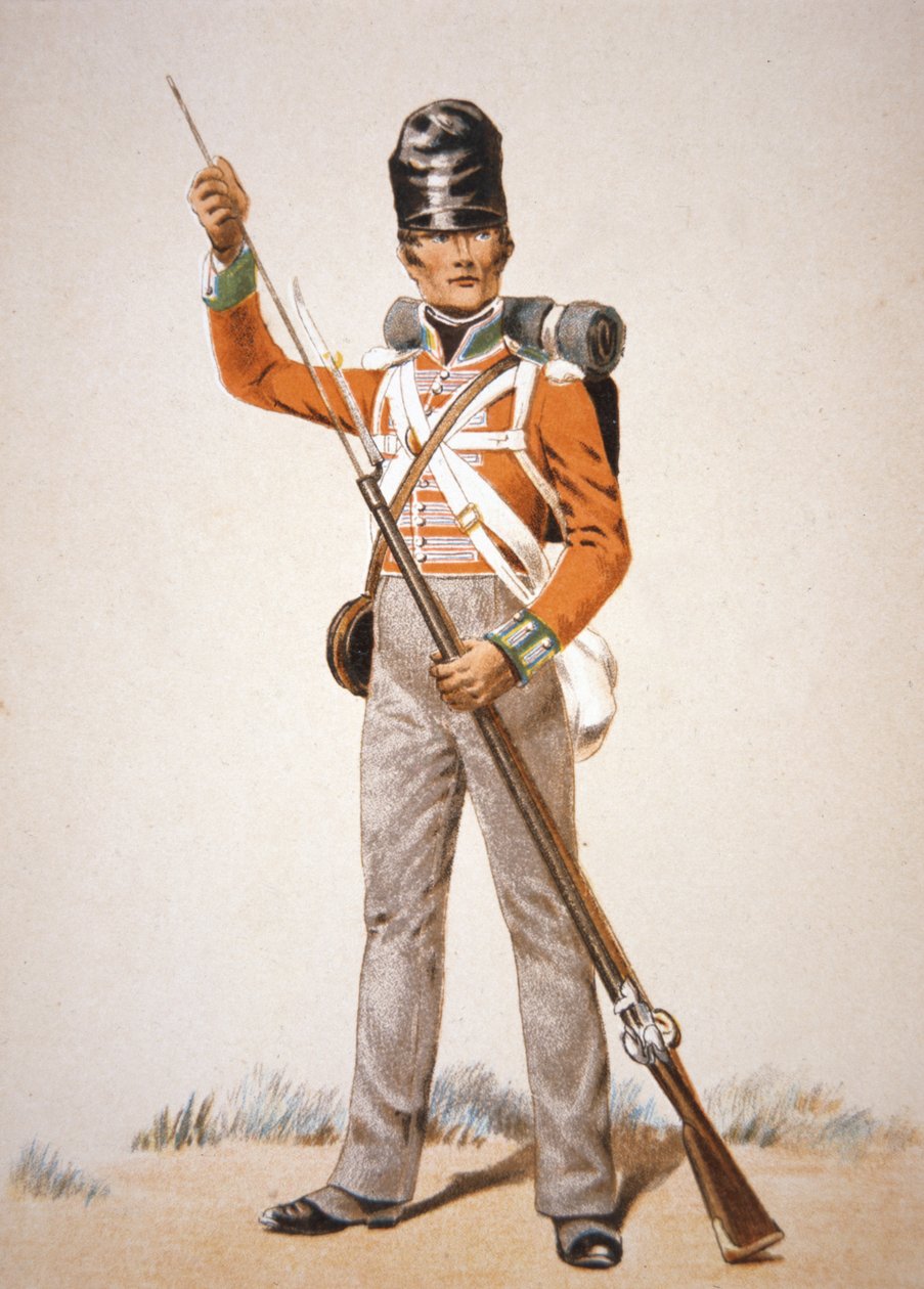 Wellingtonova armáda: voják 69th Foot nabíjející svou mušketu „Brown Bess“ v roce 1815 (barva lito) od School English