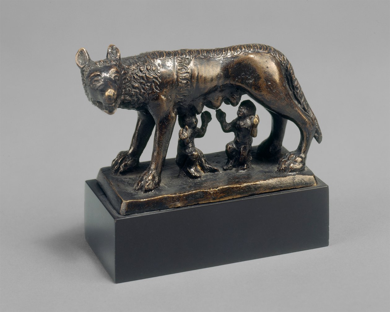 Romulus a Remus kojeni vlčicí od School Florentine