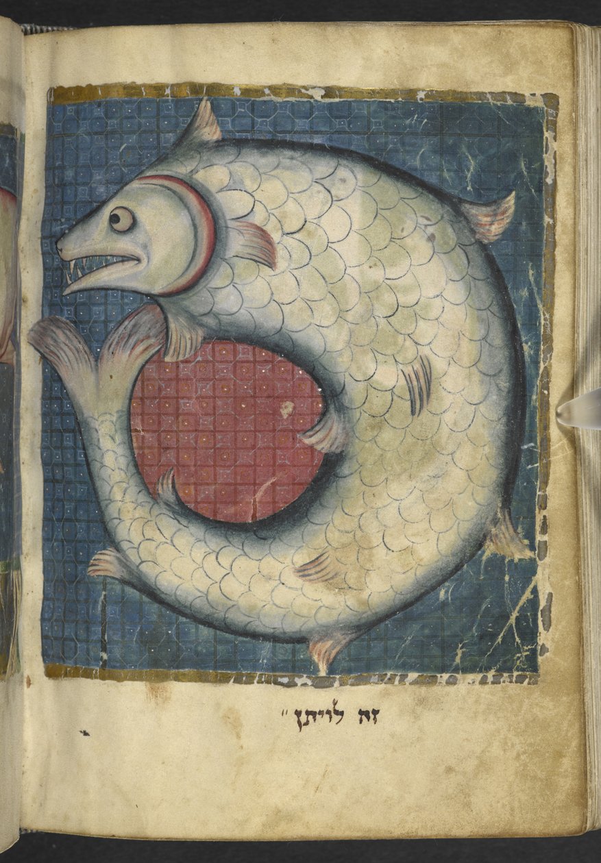 Přidat MS 11639 f.518v The Leviathan, z různých biblických a jiných textů („The Northern French Miscellany“ nebo dříve „The British Museum Miscellany“) od School French