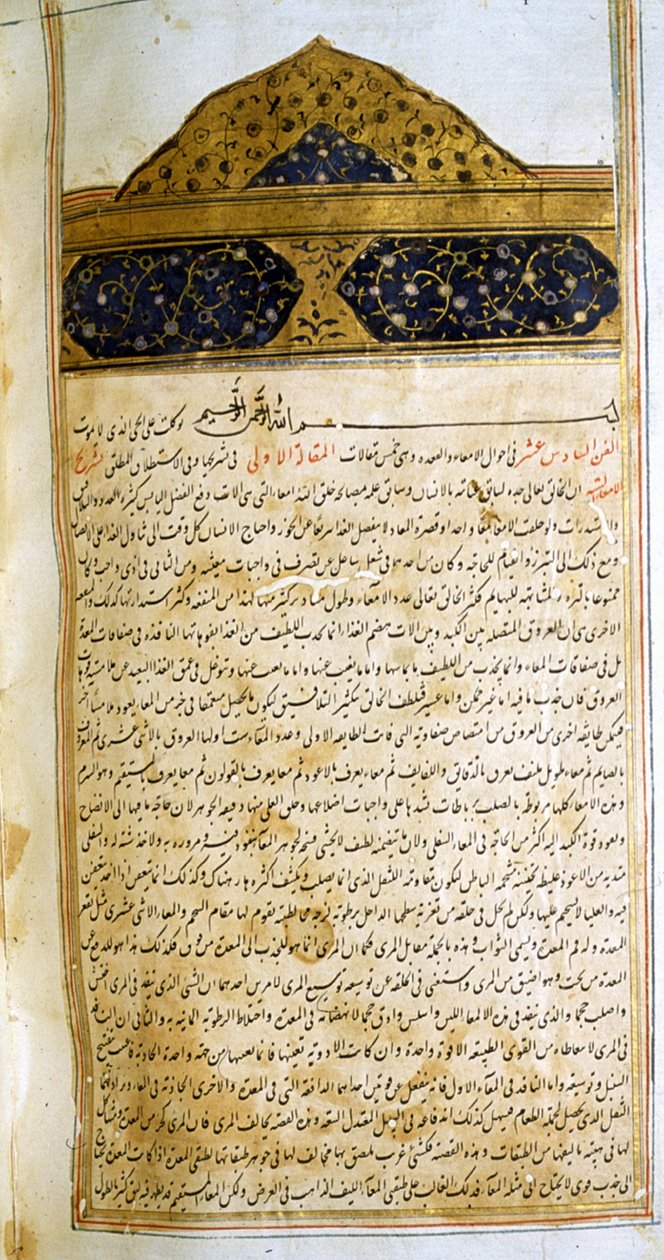 Stránka z The Canon of Medicine (al-Qānūn fī aṭ-Ṭibb) od Avicenny od School Iranian