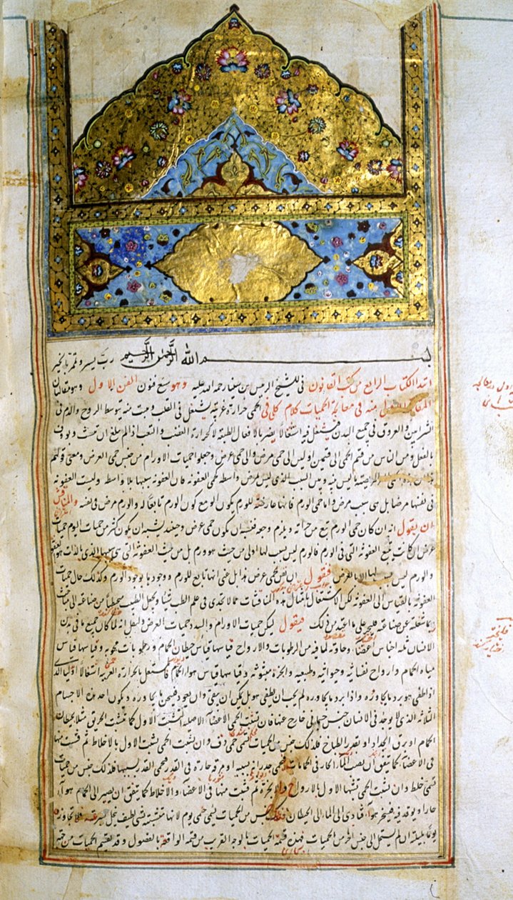 Stránka z The Canon of Medicine (al-Qānūn fī aṭ-Ṭibb) od Avicenny od School Iranian