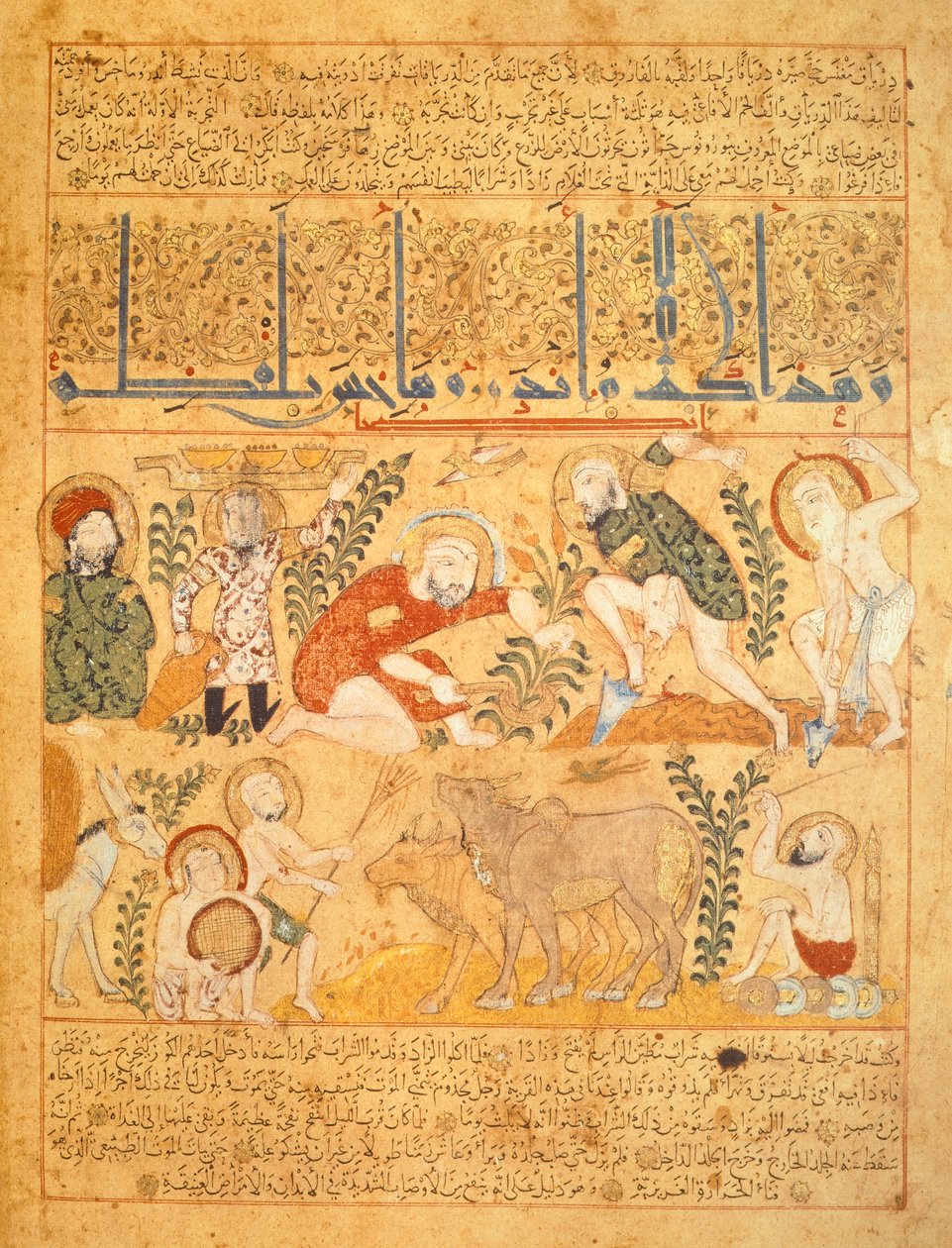 Andromenadros, The Pharmacist, zkoumá zemědělskou práci, ilustrace z knihy protijedů „Kitab al-Diryaq“, Pseudo-Gallen (vellum) od School Iraqi
