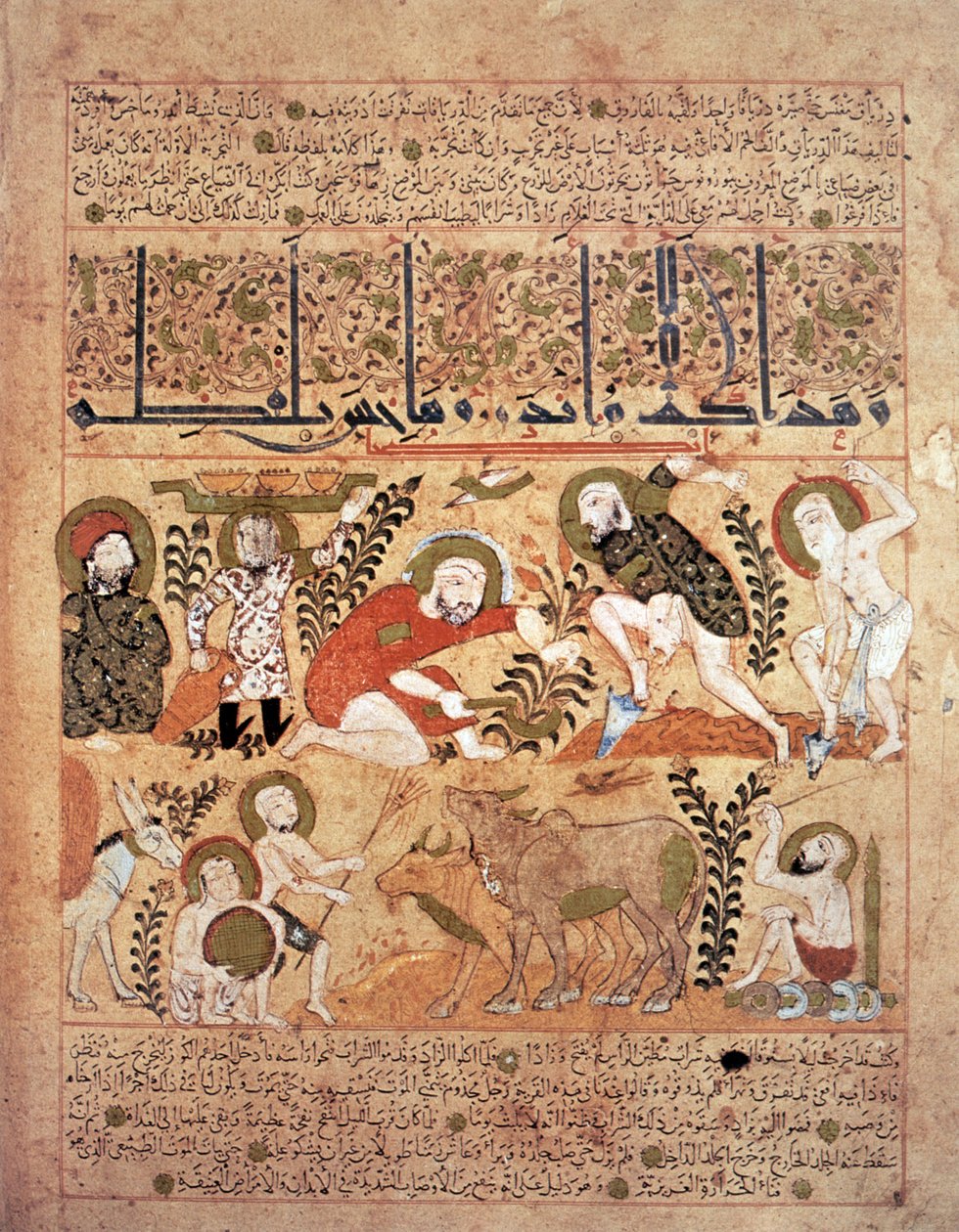 Ilustrace z knihy protijedů 