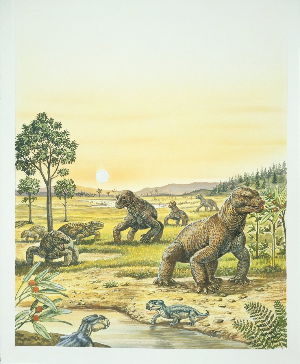 Anomodonti, popředí, pareisauři, vlevo, a Dinocefalci, vpravo, paleozoikum, období permu (barevné lito) od School Italian