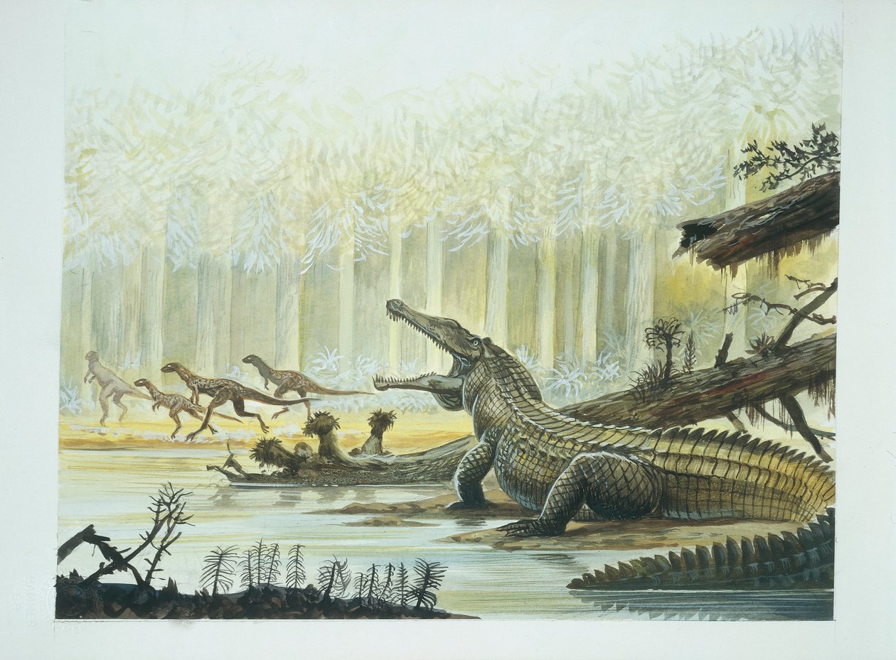 Rutiodon s Fabrosaurem v pozadí, období triasu (barevné lito) od School Italian
