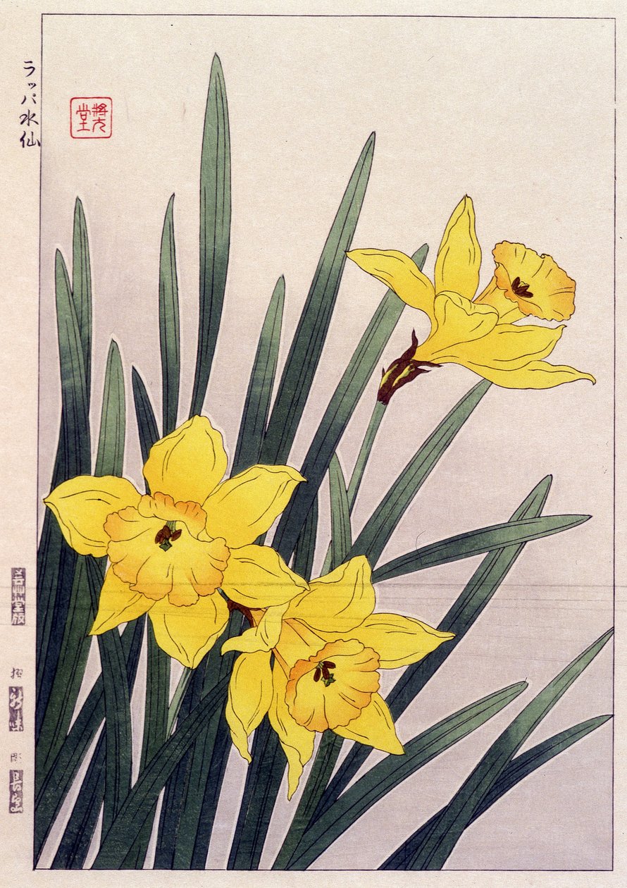Zavřít Narcisy - japonský tisk od Japanese School