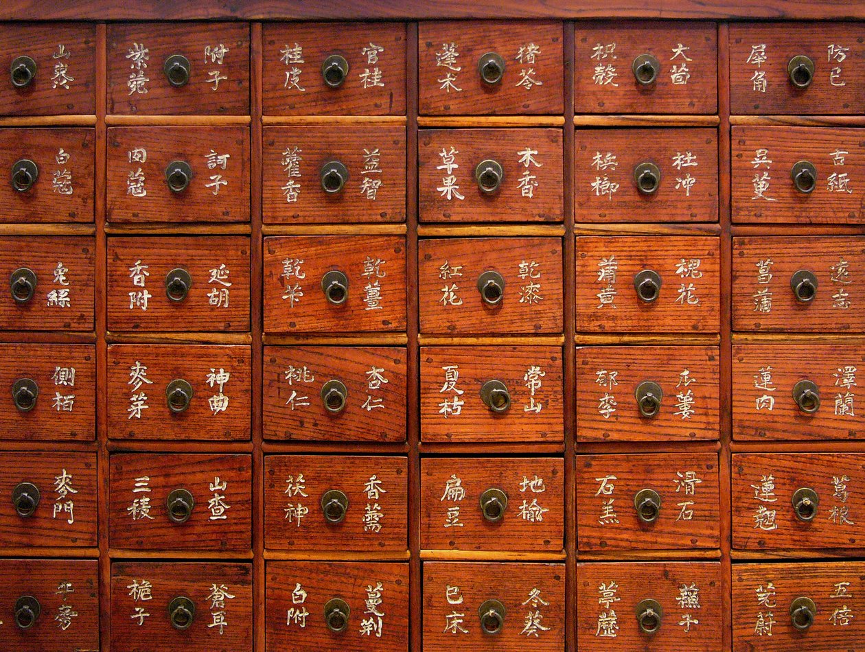 Detail dřevěného lékařského nábytku, období Joseon, Coree, kolekce Kim Chong-hak. Fotografie, Soulské národní muzeum, Korejská republika, 2006. od School Korean