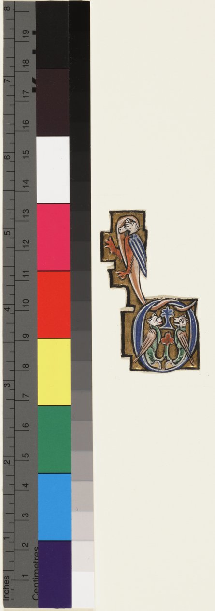 Iniciála D, z hodin žaltáře, kolem 1270 (zlato a tempera na pergamenu) od School Mosan