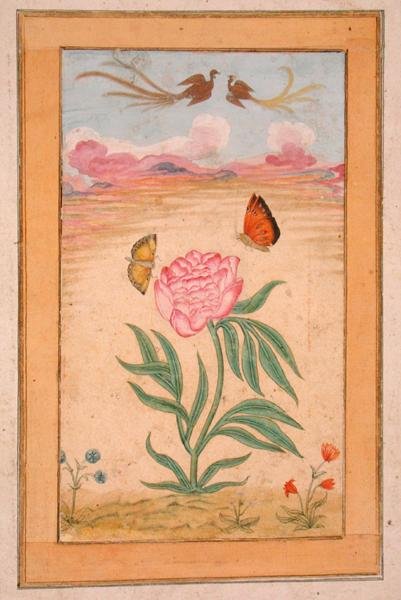 Kvetoucí rostliny s rajskými ptáky a motýly, z alba Small Clive Album (kvaš na pergamenu) od School Mughal