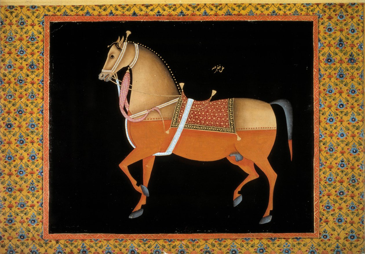 Moghol art: reprezentace hřebce. Kvaš z 18. století. Paříž, B.N. od School Mughal