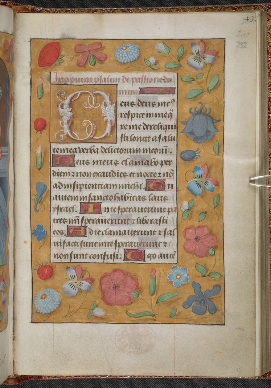Kings 9, f.232r, Kniha hodin, Užití Sarum ("Kniha hodin Anny Boleynové") (pergamen) od School Netherlandish