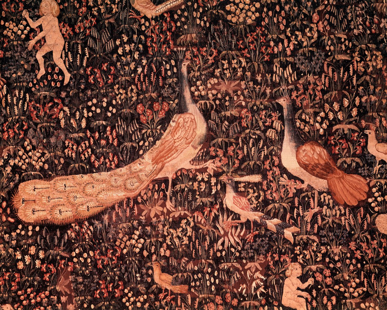 Opona života Seignuriale: detail zobrazující ptáky, páv. Vlněný a hedvábný gobelín vyrobený kolem roku 1520 v Nizozemsku. Slunce 2,6x3,7 m Paříž, národní muzeum středověku, Thermes de Cluny od School Netherlandish