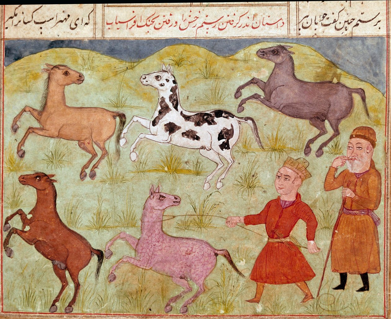 Islámské umění: Lord a jeho farmářský chlapec chytají divoké koně v lasu. Perská miniatura z rukopisu epické básně „Shahnameh““ (Shah Nama, Shahnama) (Kniha králů) od Ferdowsiho (Firdawsi, nebo Ferdawsi, nebo Firdousi, asi 940-kolem 1020) Biblioteca Nazi od School Persian