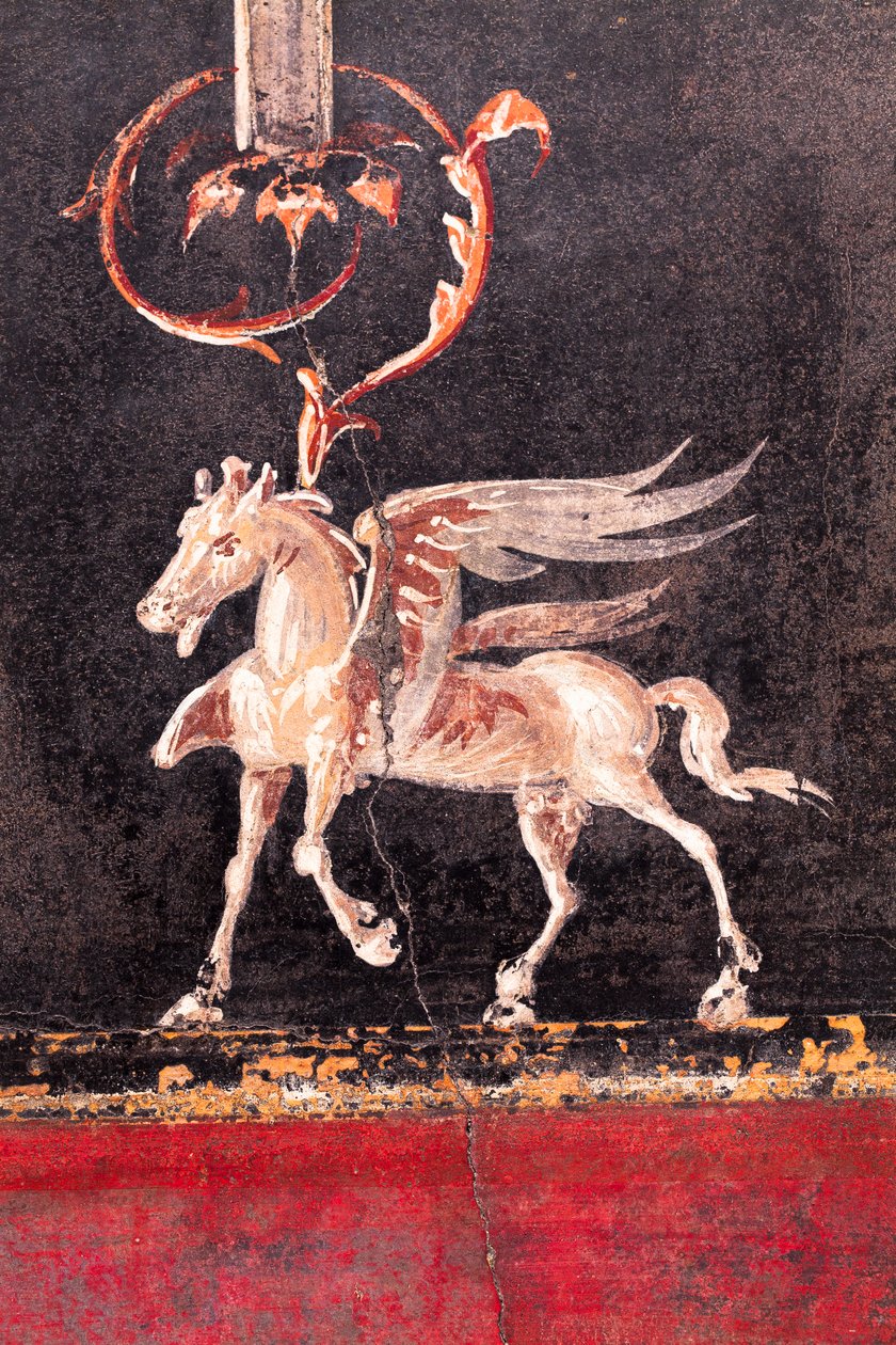 Architektonická výzdoba s okřídlenými koňmi (pegasi), Herculaneum od School Roman