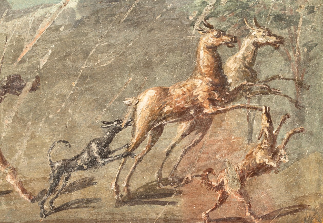 od School Roman