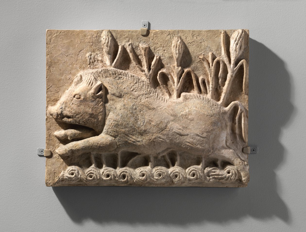 Nástěnný panel s nabíjecím kancem, cca 6. století našeho letopočtu (štuk) od School Sasanian