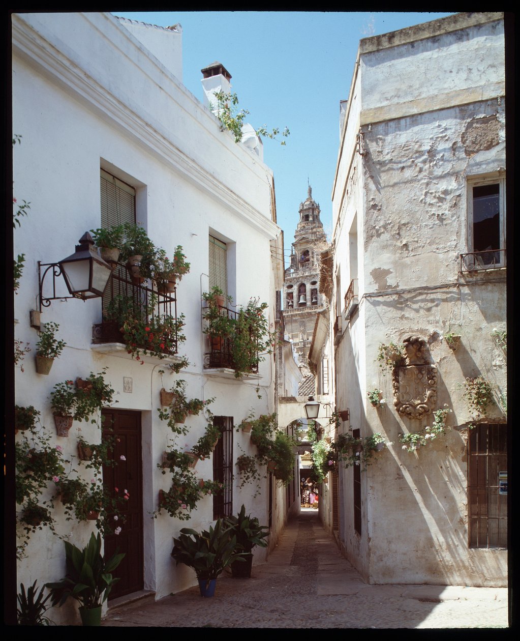 Pohled na minaret (zvonice) Velké mešity Omayyades (Mezquita), nyní katedrála, z Calle de los flores”””, Cordoba Španělsko”” (Pohled na zvonici nebo minaret mešityCathedral (Velká mešita) v Córdobě z ulice „“ calle de los flores“ od School Spanish