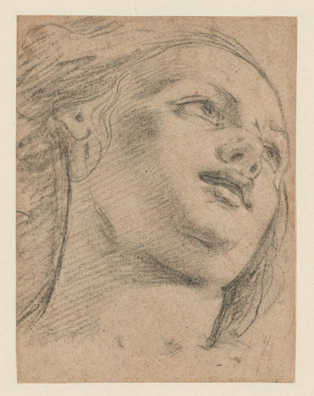 Studie ženské hlavy při pohledu nahoru doprava (recto); Studie dvou figur nesoucích předmět (verze) od School of Guido Reni