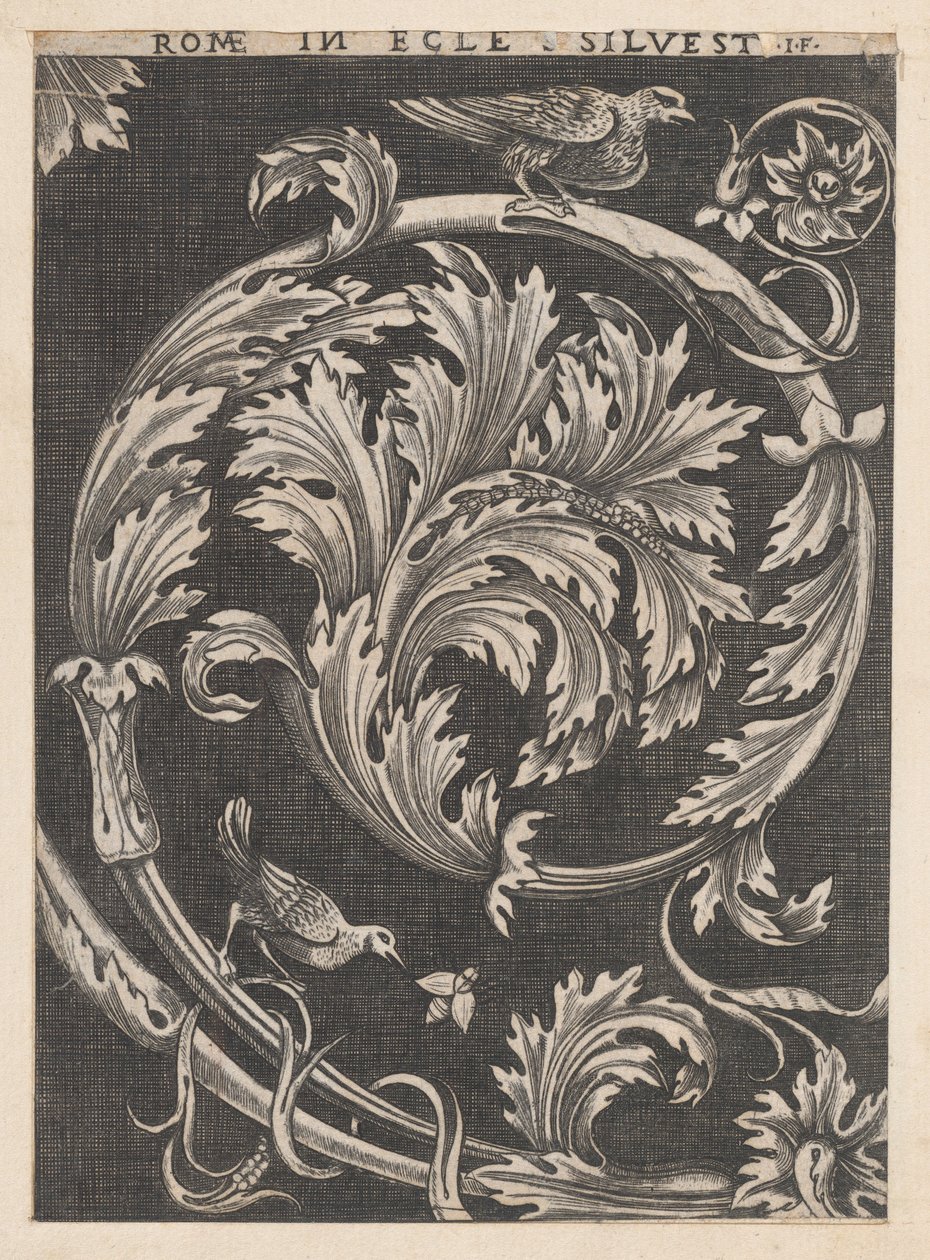 Okrasné listí z kostelů, 16. stol., 16. stol. od School of Raphael
