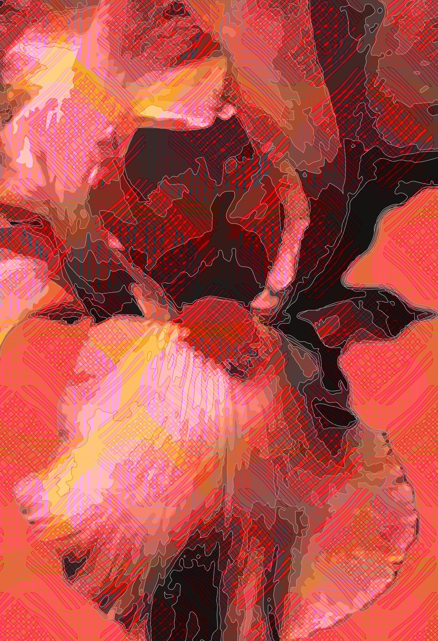 Orange Iris (digitální) od Scott J. Davis
