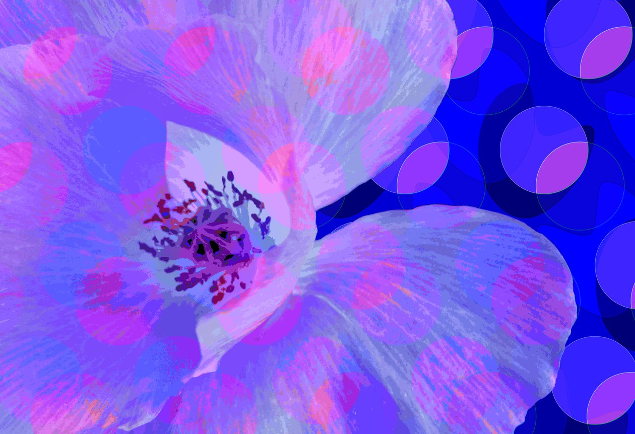 Poppy (digitální) od Scott J. Davis