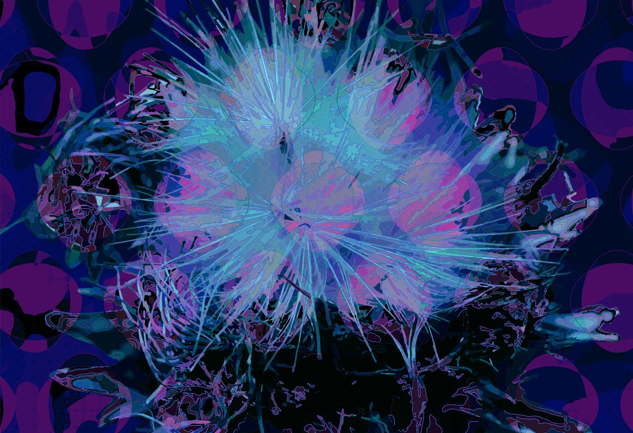 Artyčok (digitální) od Scott J. Davis