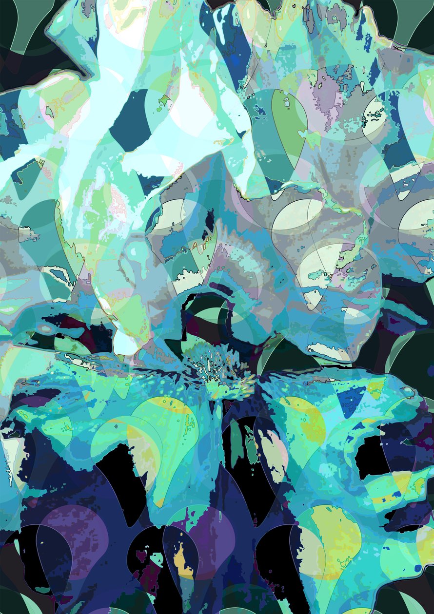 Iris (digitální) od Scott J. Davis