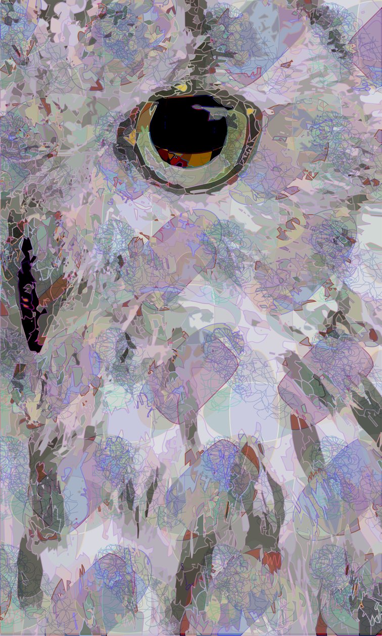 Owl3 (digitální) od Scott J. Davis