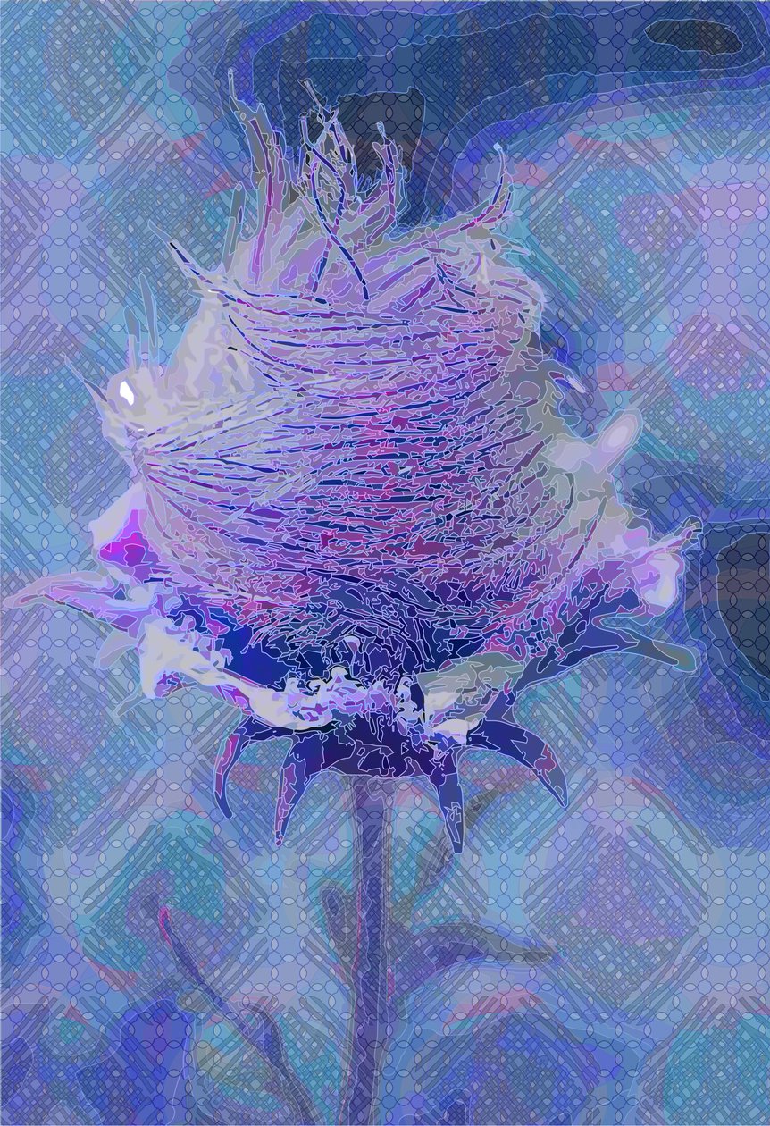 Wood Avens, 2 2019 od Scott J. Davis