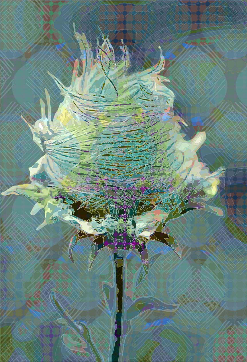 Wood Avens3, 2019 od Scott J. Davis